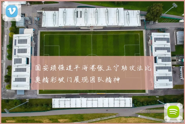 国安顽强追平海港张玉宁助攻法比奥精彩破门展现团队精神