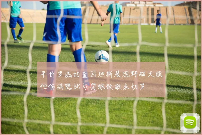 平价罗威的奎因坦斯展现野猫天赋但伤病隐忧与罚球致敬米切罗
