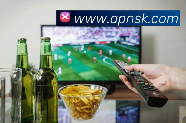 奖项证书